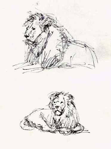 drawing: 'Lions' pen by Dutch painter Frans Koppelaar.