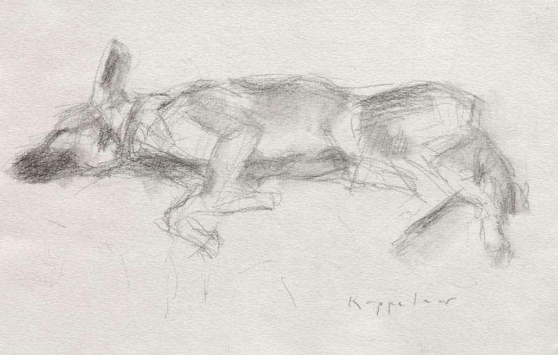 drawing: 'Paco' black crayon by Dutch painter Frans Koppelaar.